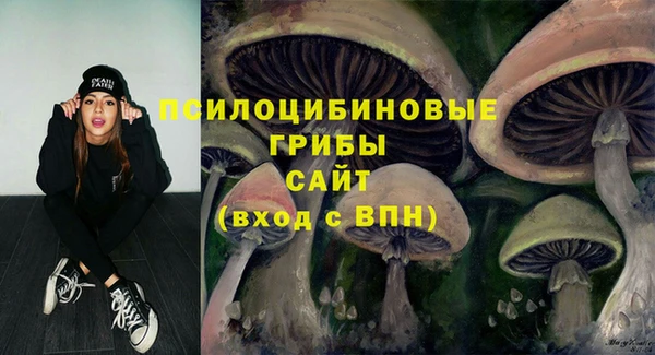 гашишное масло Козельск