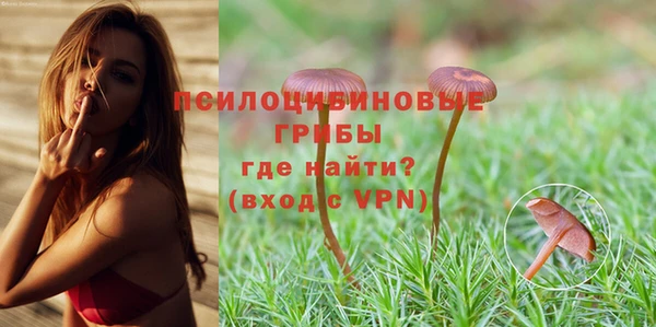 jwh Козловка