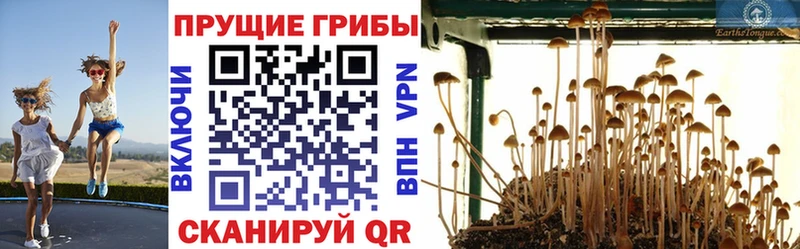 Галлюциногенные грибы MAGIC MUSHROOMS  Донецк 
