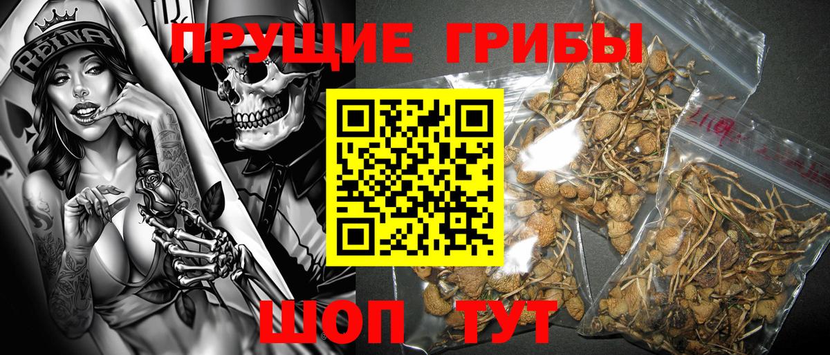 Псилоцибиновые грибы ЛСД Донецк