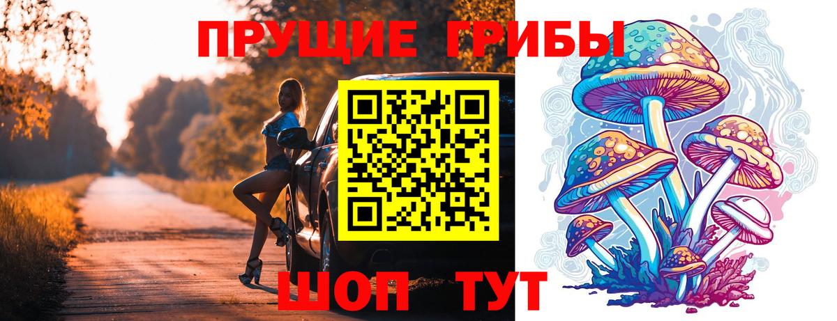 Псилоцибиновые грибы GOLDEN TEACHER  Вход с VPN  Донецк  Псилоцибиновые грибы мицелий 